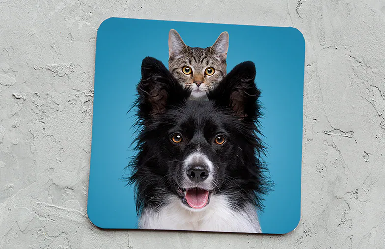 Sous verres photo